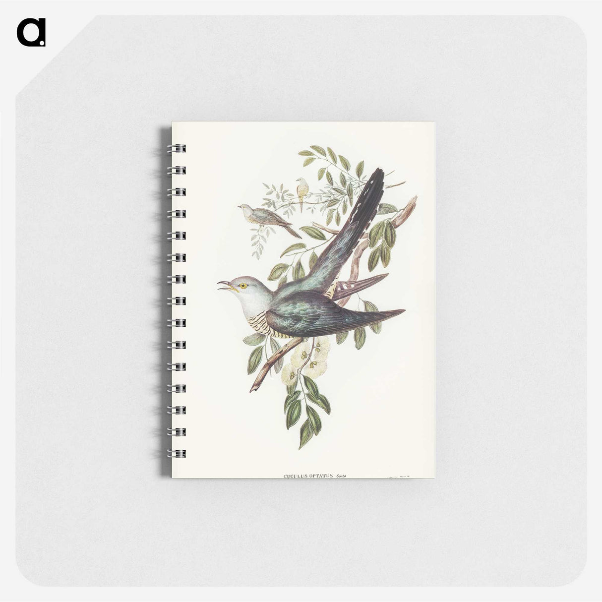 3-38_John-Gould_memo