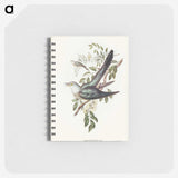 3-38_John-Gould_memo