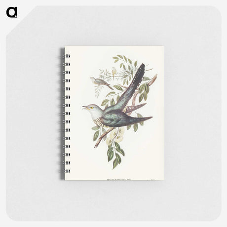 3-38_John-Gould_memo