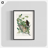 3-38_John-James-Audubon_blk