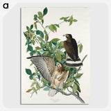 3-38_John-James-Audubon_picture-crop