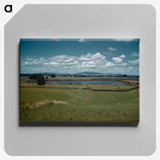 3-38_Leslie-Adkin_canvas