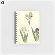 アートメモ帳-Persian and Dwarf Irises
 - マリア ジビーラ メーリアン Memo.