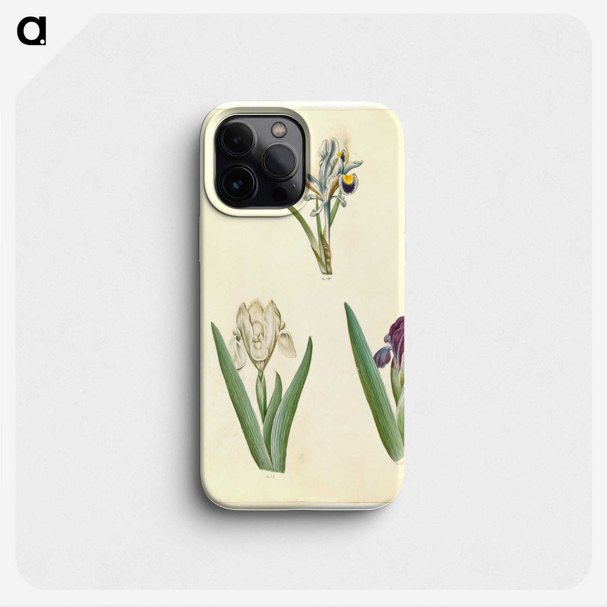 3-38_Maria-Sibylla-Merian_phone
