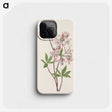 3-38_Mary-Vaux-Walcott_phone