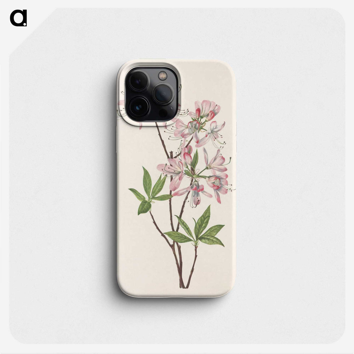 3-38_Mary-Vaux-Walcott_phone
