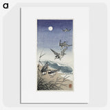 3-38_Ohara-Koson_picture