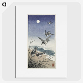 3-38_Ohara-Koson_picture