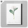 3-38_The-Lilies_canvas