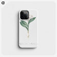 3-38_The-Lilies_phone