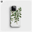 3-38_Treatise-on-Trees-and-Shrubs_phone