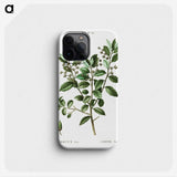 3-38_Treatise-on-Trees-and-Shrubs_phone
