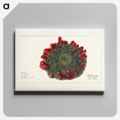3-38_USDA-Watercolor-Fruit-Painting-Collection_canvas