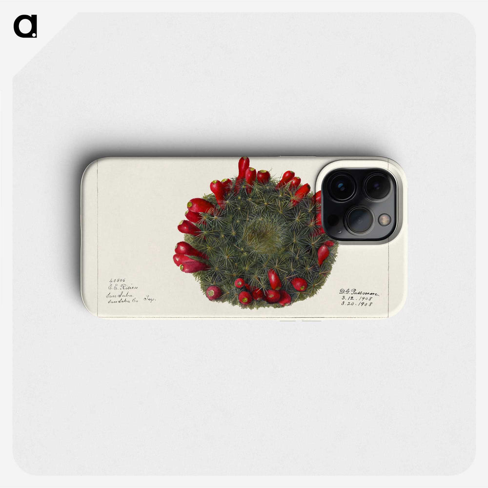 3-38_USDA-Watercolor-Fruit-Painting-Collection_phone