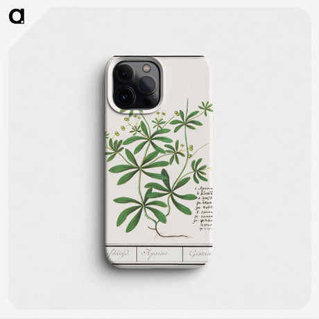 3-39_Anselmus-Boetius-de-Boodt_phone