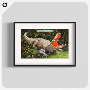 アートポスター-Florida Alligator
 - ボストン公共図書館 Poster.