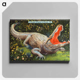 アートパネル-Florida Alligator
 - ボストン公共図書館 Canvas.