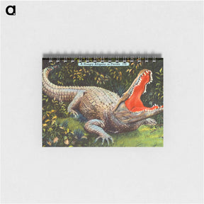 アートメモ帳-Florida Alligator
 - ボストン公共図書館 Memo.
