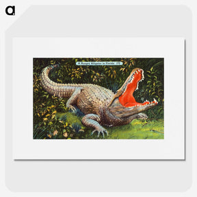 3-39_Boston-Public-Library_picture