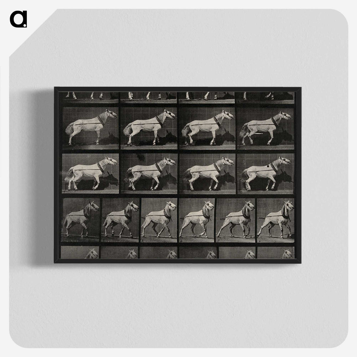 3-39_Eadweard-Muybridge_blk-crop