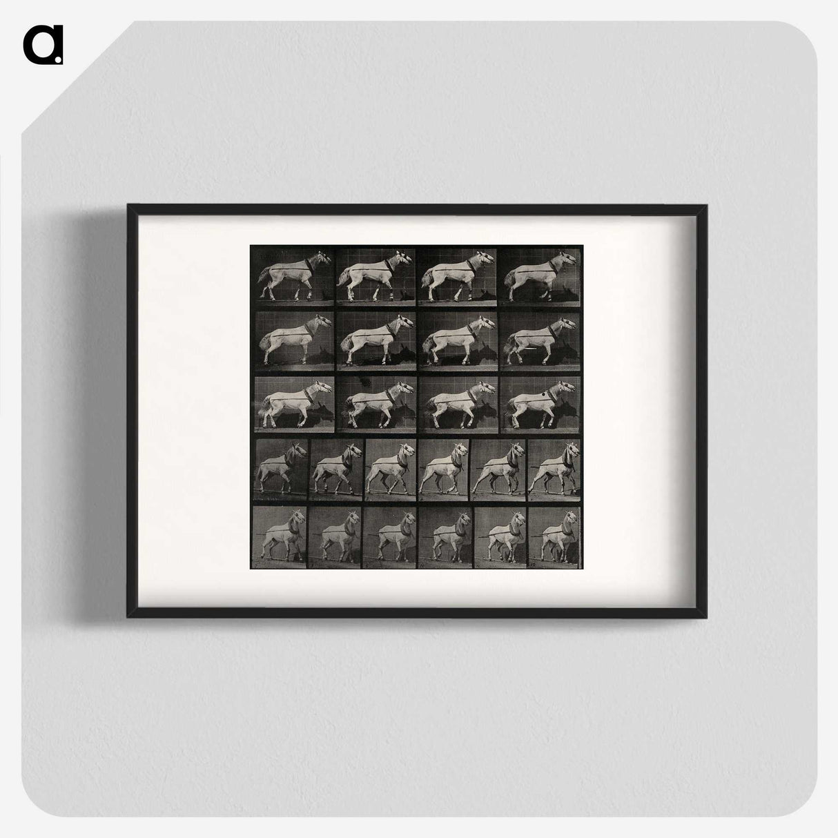 3-39_Eadweard-Muybridge_blk
