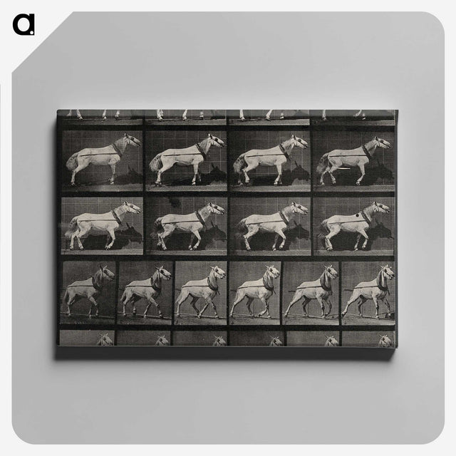 3-39_Eadweard-Muybridge_canvas