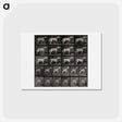 アートポストカード-Cart-Horse Pulling
 - エドワード マイブリッジ Postcard.