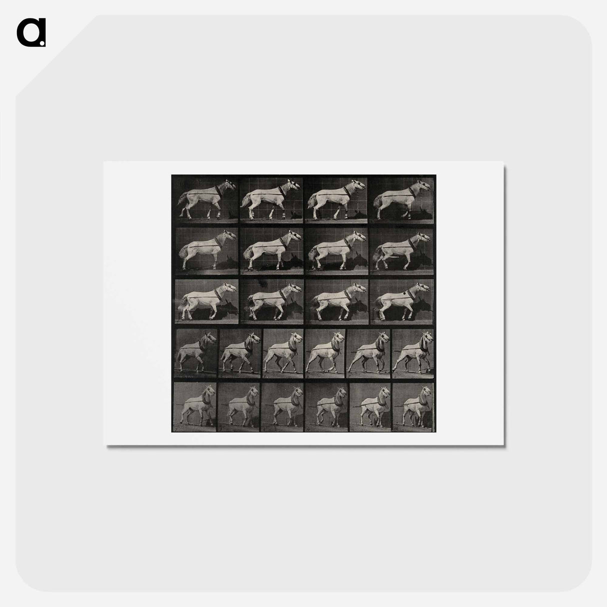 アートポストカード-Cart-Horse Pulling
 - エドワード マイブリッジ Postcard.