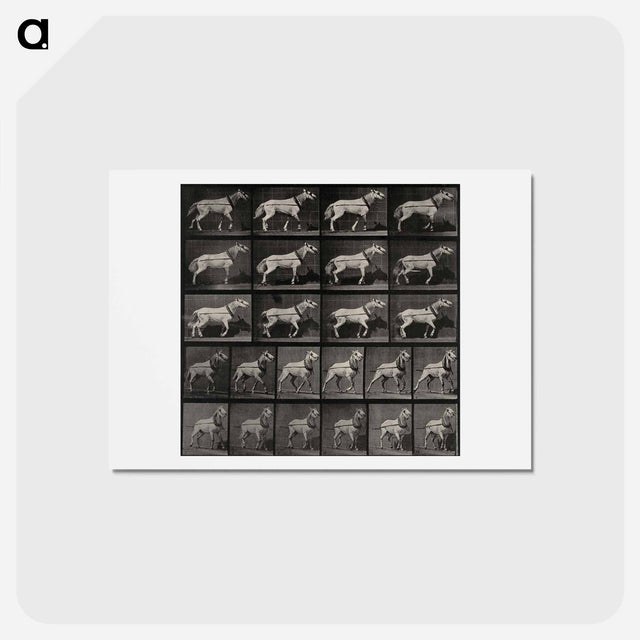 アートポストカード-Cart-Horse Pulling
 - エドワード マイブリッジ Postcard.