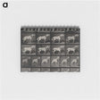 3-39_Eadweard-Muybridge_memo