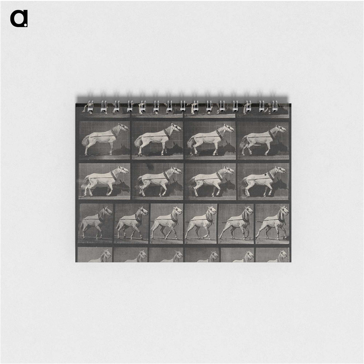 3-39_Eadweard-Muybridge_memo