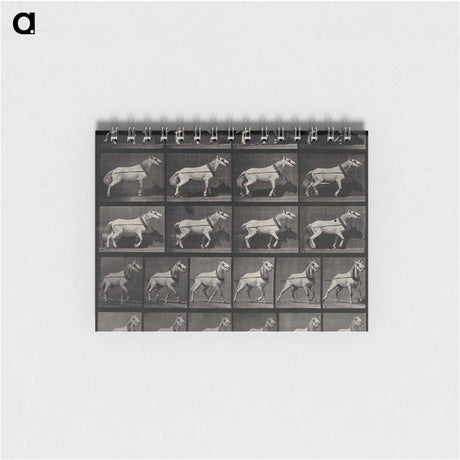 アートメモ帳-Cart-Horse Pulling
 - エドワード マイブリッジ Memo.