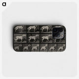 3-39_Eadweard-Muybridge_phone