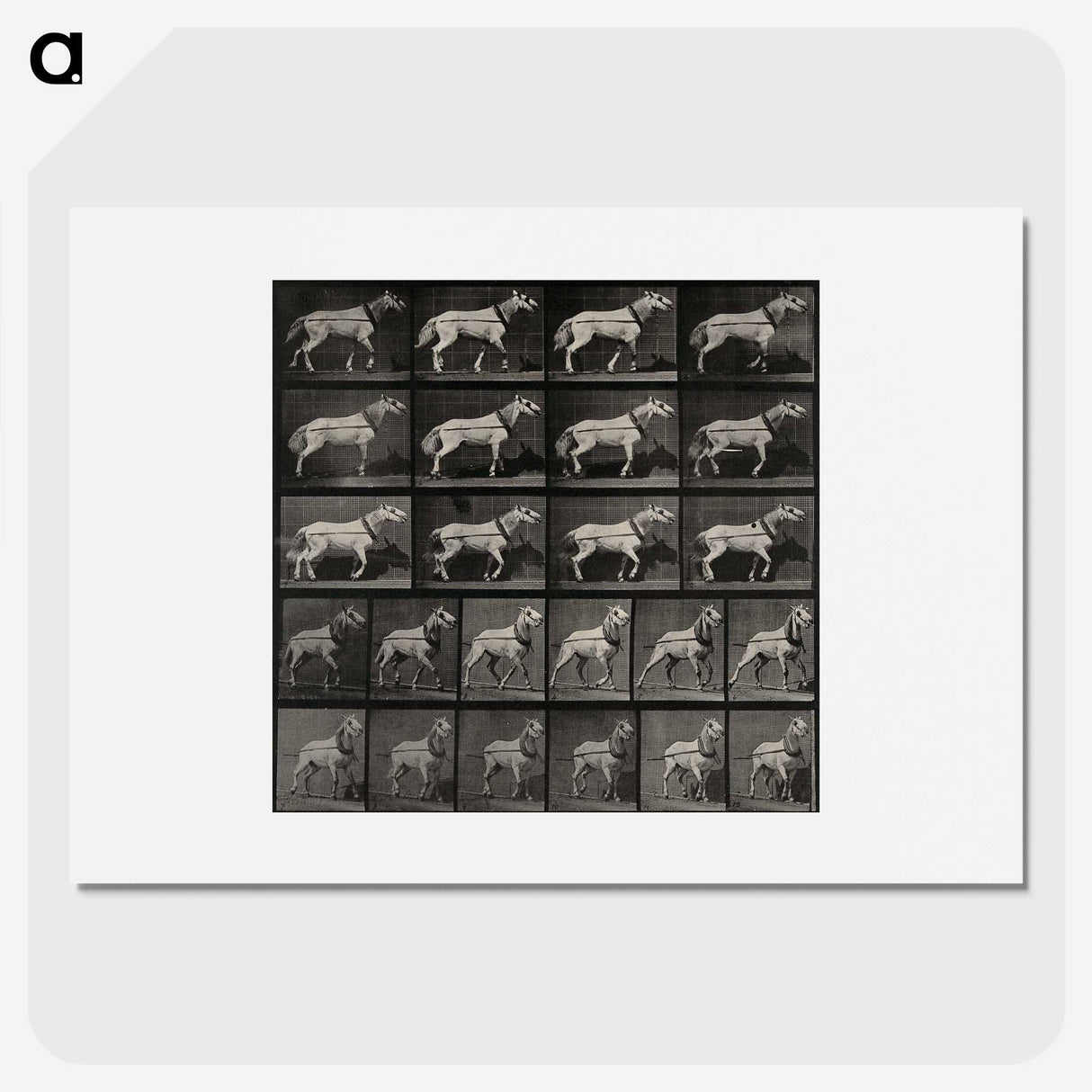 3-39_Eadweard-Muybridge_picture