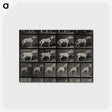 3-39_Eadweard-Muybridge_postcard