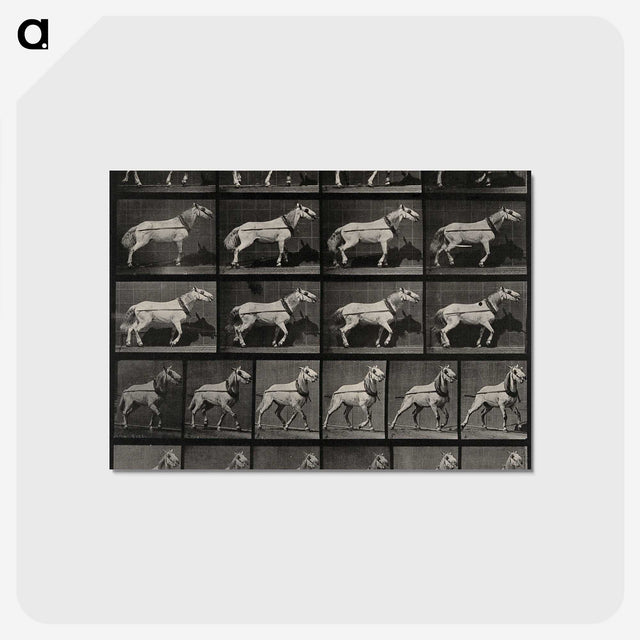 3-39_Eadweard-Muybridge_postcard