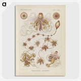 3-39_Ernst-Haeckel_picture-crop