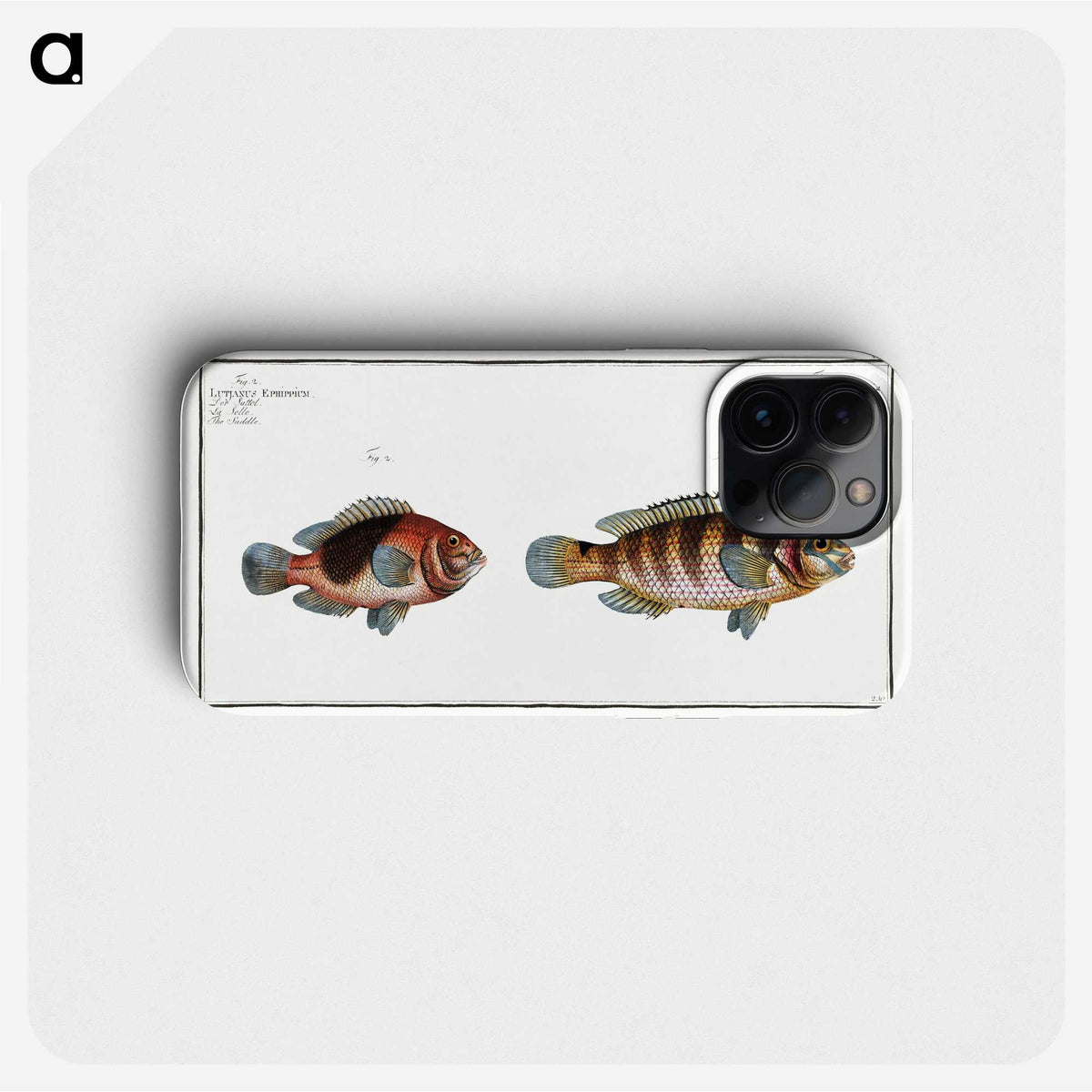 3-39_Ichtyologie-ou-Histoire-naturelle_phone