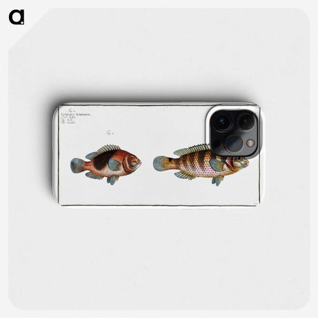 3-39_Ichtyologie-ou-Histoire-naturelle_phone