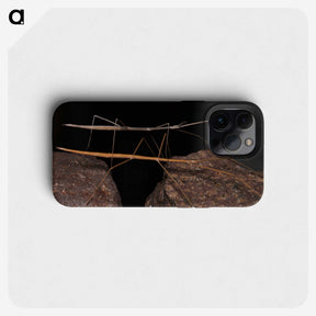 3-39_Insects-Unlocked-Project_phone