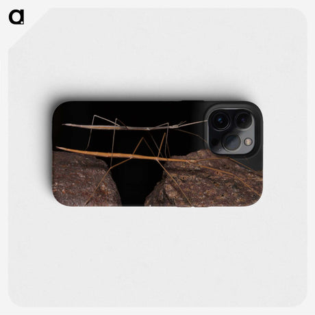 3-39_Insects-Unlocked-Project_phone