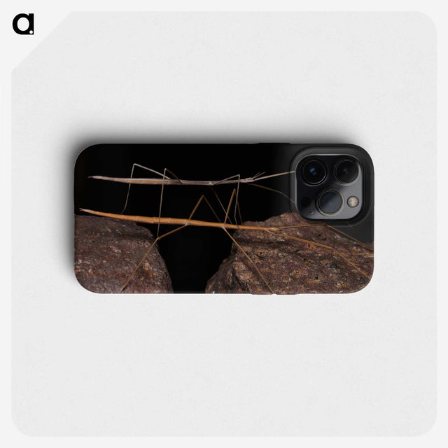 3-39_Insects-Unlocked-Project_phone