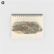 3-39_John-Gould_memo