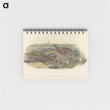 3-39_John-Gould_memo