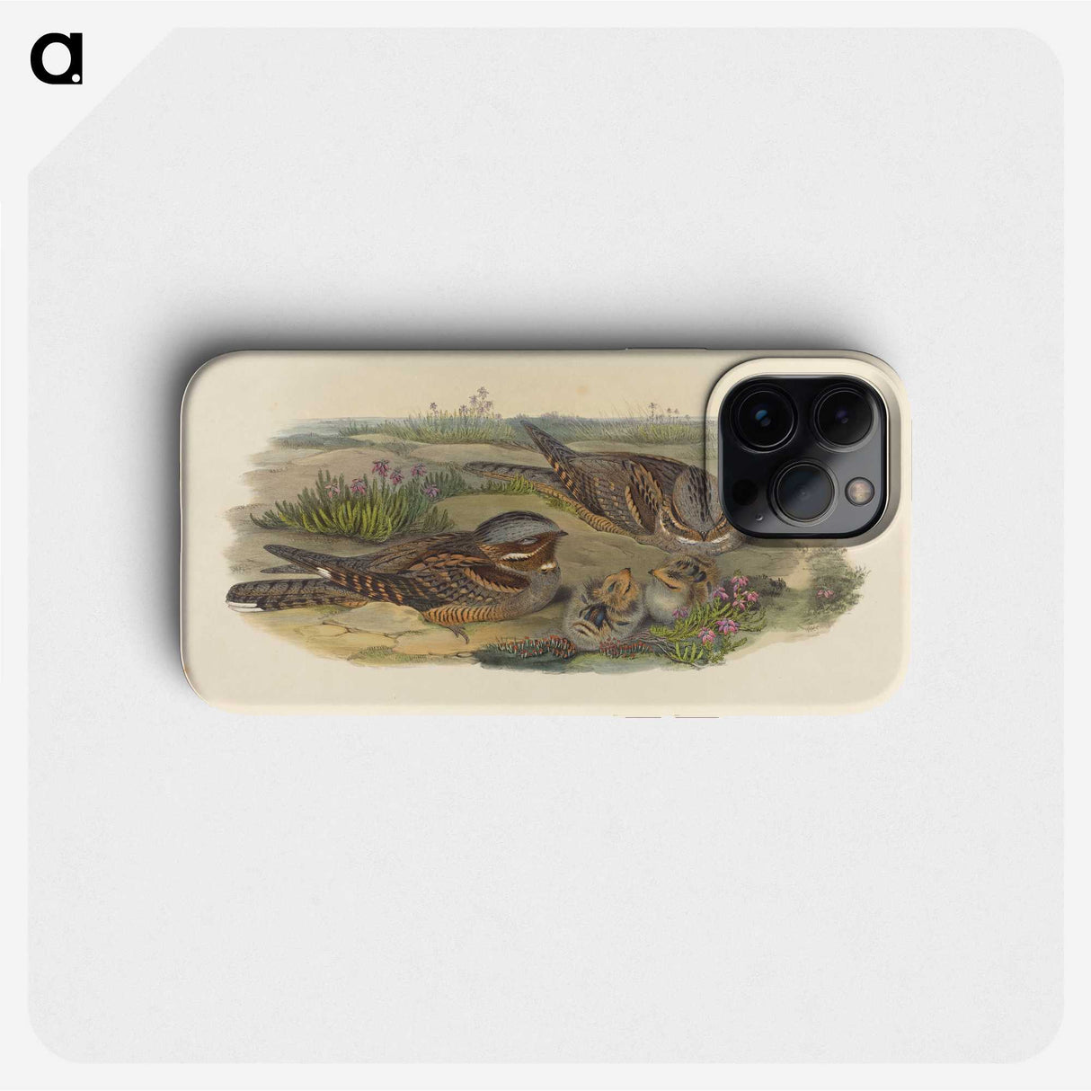 3-39_John-Gould_phone