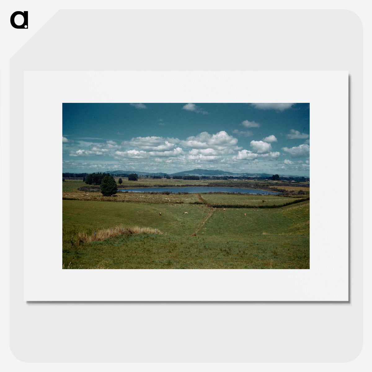 3-39_Leslie-Adkin_picture