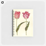 アートメモ帳-Tulipa Gesneriana
 - マリア ジビーラ メーリアン Memo.