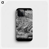 3-39_Marion-Post-Wolcott_phone