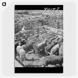 3-39_Marion-Post-Wolcott_picture-crop