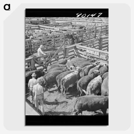 3-39_Marion-Post-Wolcott_picture-crop